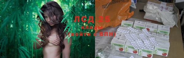 дживик Гусев