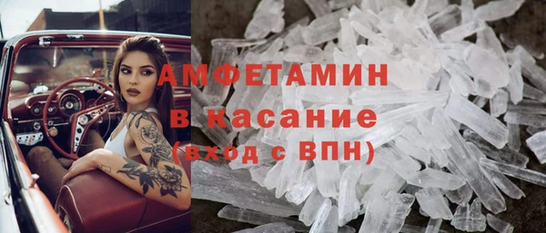 индика Пересвет