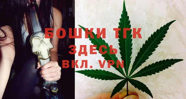 индика Пересвет
