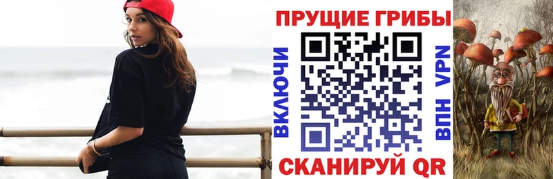 Галлюциногенные грибы Psilocybe  купить  сайты  Нижневартовск 