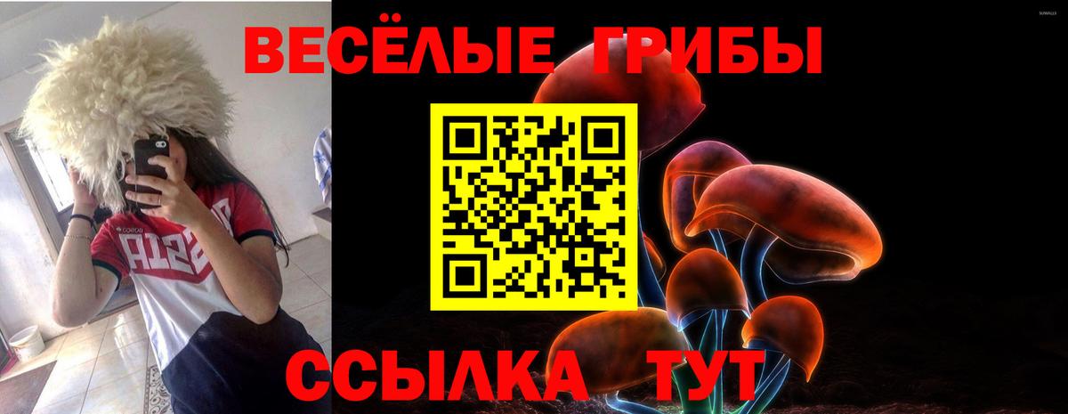Псилоцибиновые грибы GOLDEN TEACHER Нижневартовск