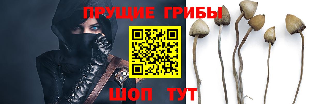 Нижневартовск  купить наркотик  Вход с VPN  Галлюциногенные грибы Cubensis 